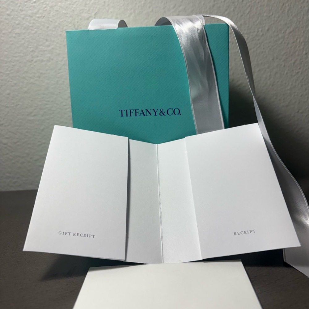 Tiffany & Co. Turquoise Bag with White Ribbon - Picture 3 of 5